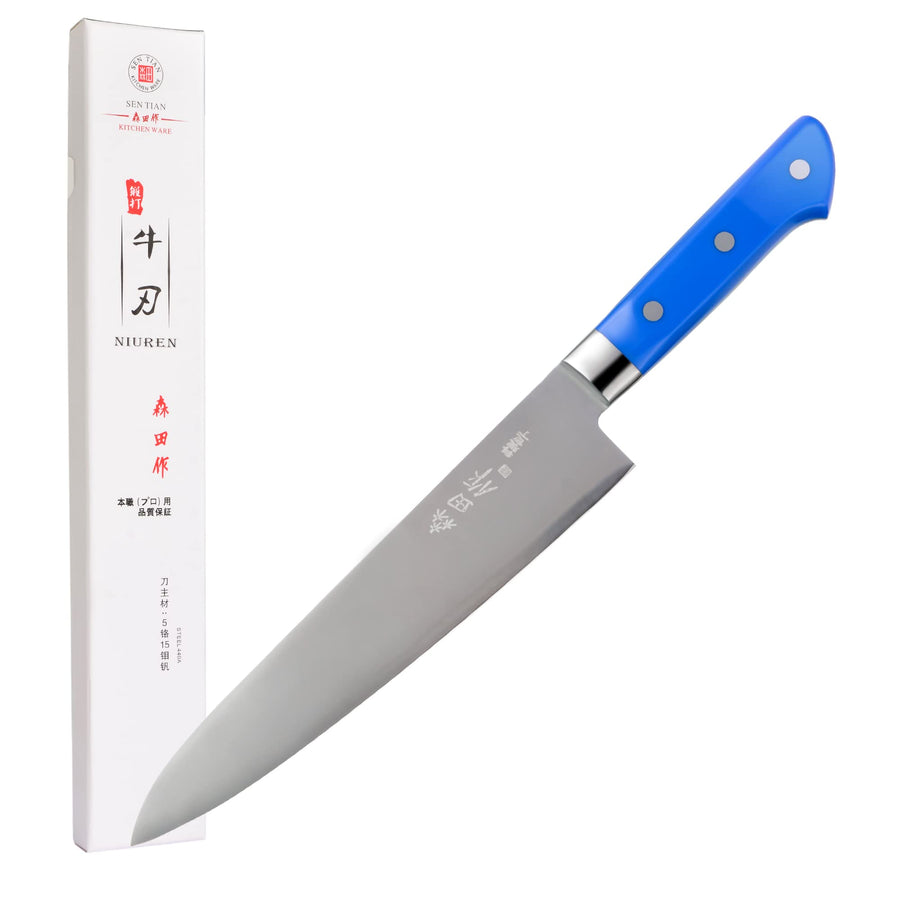Japanese Chef Knife 9.5 inch, Professional Gyuto Chef Knife, High Carbon Stainless Steel Sharp Sashimi Knife with Blue Ergonomic Handle, Sushi Knife for Household or Valentines Day Gifts