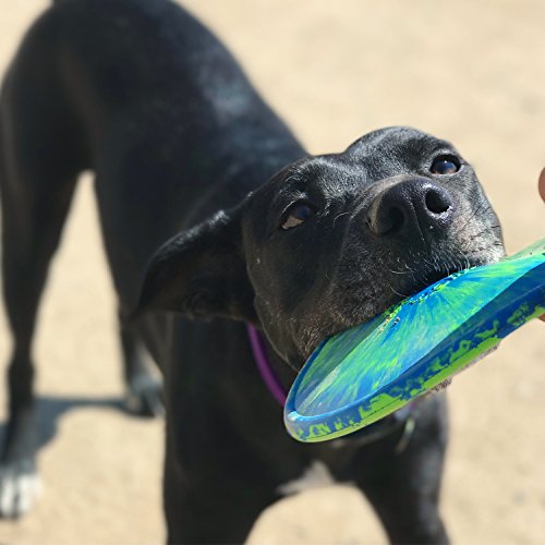 K9 Flyer - Large Durable Rubber Dog Toy for Fetch - Floats in Water - Made in The USA - Assorted Neon Colors for High Visibility