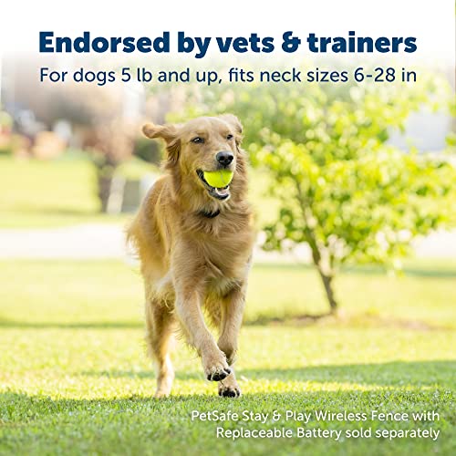 Stay & Play Wireless Pet Fence with Replaceable Battery Collar – for Dogs & Cats Over 5 lb – Waterproof Receiver Collar Tone & Static Correction – from Parent Company of Invisible Fence Brand