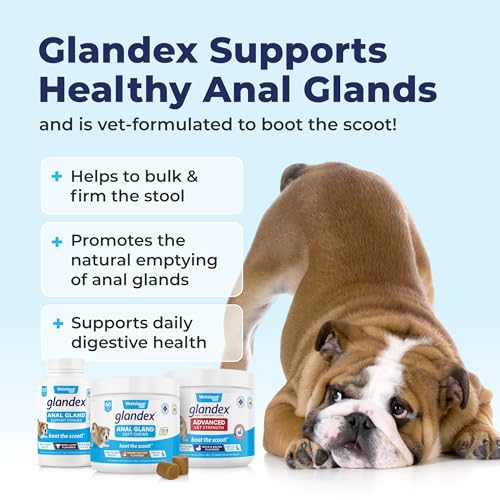 Glandex Anal Gland Soft Chew Treats with Pumpkin for Dogs Digestive Enzymes, Probiotics Fiber Supplement for Dogs Boot The Scoot (Pork Liver Chews, 60ct)