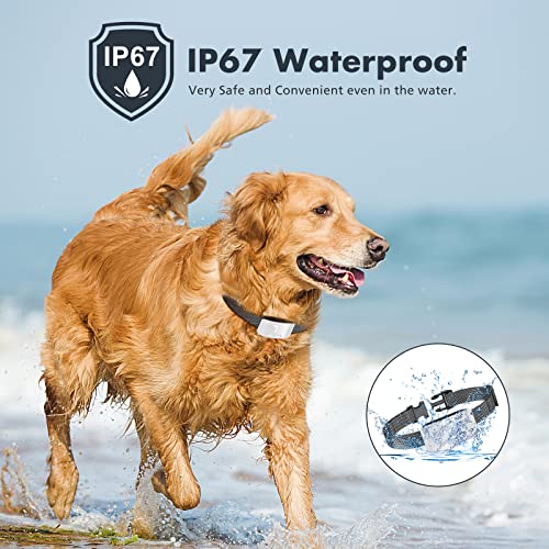 Bark Collar for Dogs,Rechargeable Anti Barking Training Collar with 7 Adjustable Sensitivity and Intensity Beep Vibration for Small Medium Large Dogs (White)