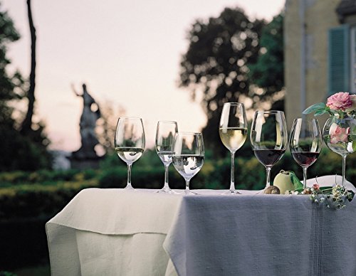 Riedel Ouverture Red Wine
