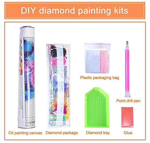 Diamond Painting Kits for Adults,DIY 5D Special Shaped Diamond Painting Partial Drill Diamond Art Crystal Rhinestone Diamond Art Crafts by Number Kits Mosaic Making for Wall Home Decor (12x16)
