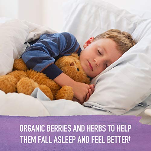 Organics Elderberry Immune Support for Kids with Zinc, Vitamin C - Kids Elderberry &amp; Sleep Immune Syrup Liquid, Bedtime Herbs for Children, No Alcohol, No Added Sugar, 3.92 fl oz