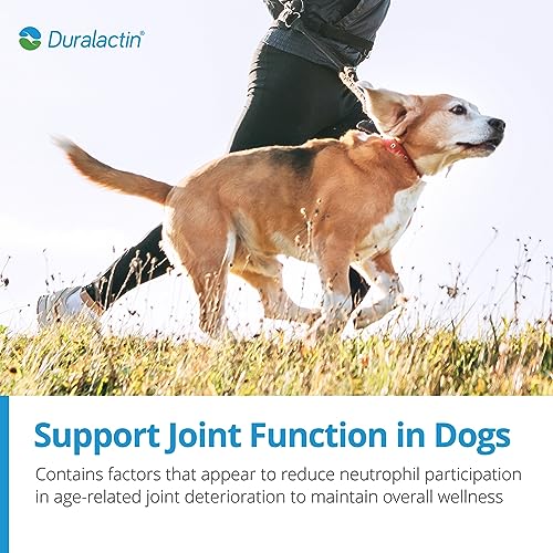 PRN Pharmacal Duralactin Canine Chewable Tablets - Joint Health Supplement for Dogs &amp; Puppies Supports Mobility &amp; Wellness - Tablets Containing Dried Milk Protein - Vanilla Flavor - 60 Canine Chews