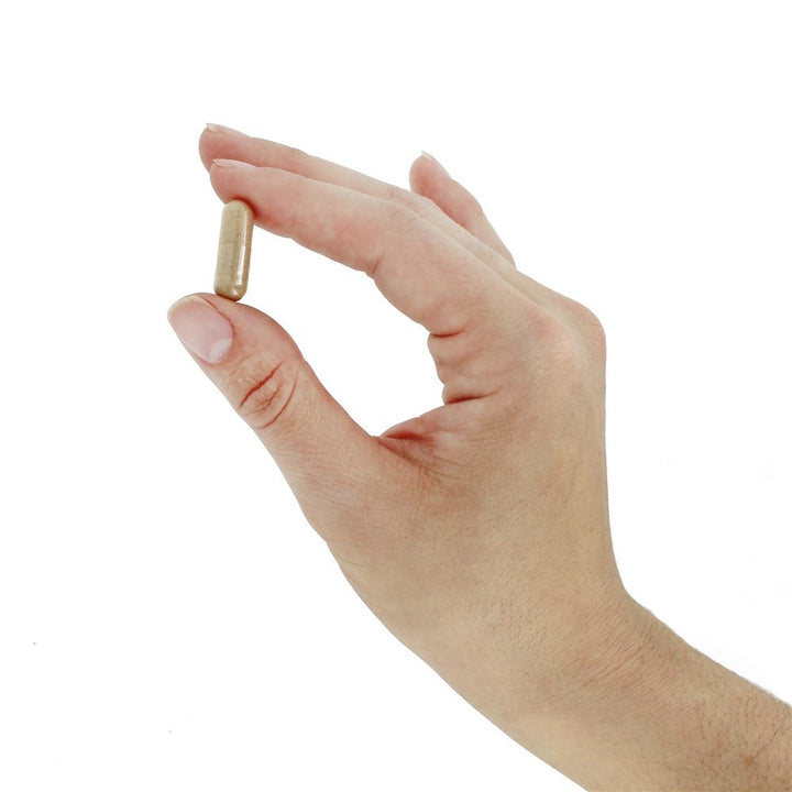 NOW Hawthorn Berry 540mg, 100 Veg Capsules (Pack of 4)