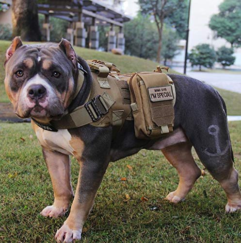 Antrix 2 Pcs US Flag Service Dog K9 Paw Tracker Tactical Military Police Dog Army Dog Patch Hook & Loop Dog Patch for Medium and Large Dog Vests Harnesses Collar