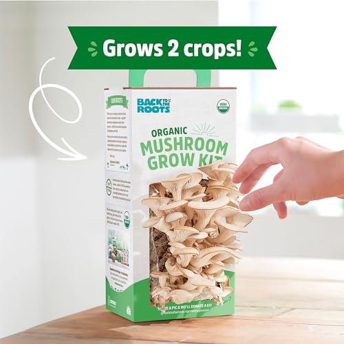 Organic Oyster Mushroom Grow Kit, Harvest Gourmet Mushrooms In 10 Days