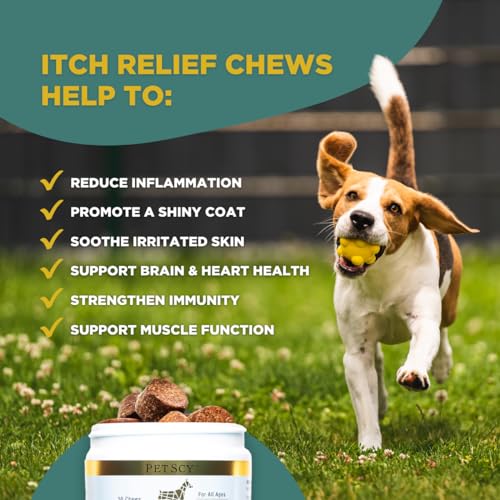 PetScy Dog Itch Relief Chews with Omega 3 Fatty Acids, EPA &amp; DHA | Itch Relief for Dogs Nutritional Support, Immunity &amp; Muscles | Itchy Skin Treatment for Dogs of All Ages, Pork Flavor - 30 Chews