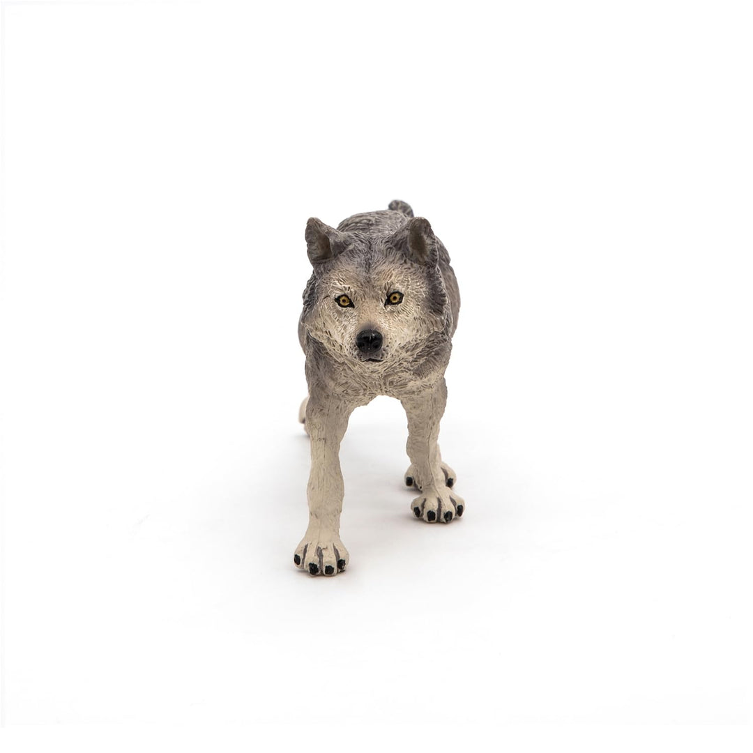 -hand-painted - figurine -Wild animal kingdom - Grey Wolf -53012 -Collectible - For Children - Suitable for Boys and Girls- From 3 years old