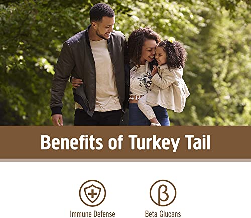 Om Mushroom Superfood Turkey Tail Mushroom Capsules Superfood Supplement, 90 Count, 30 Days, Immune Support, Polysacchrides, Beta-Glucans, Gut Health &amp; Holistic Defense Mushroom Supplement