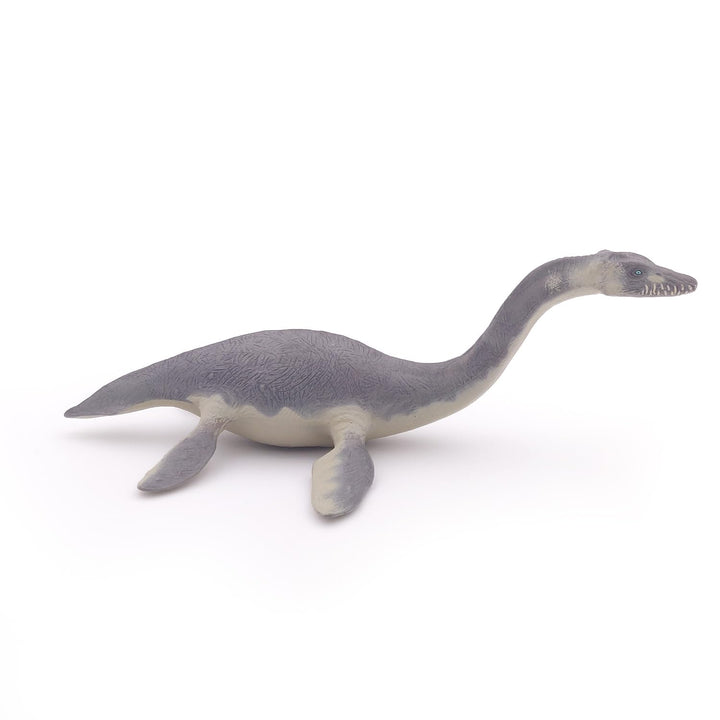 The Dinosaur Figure, Plesiosaurus, Multicolor