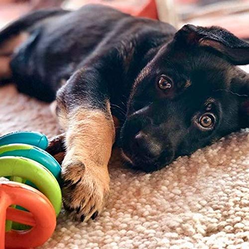 Pet Dogs In Action Dog Toy, Small (Assorted Colors)