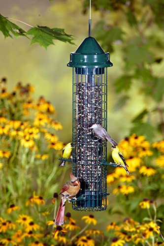 Classic Squirrel-proof Bird Feeder w/4 Feeding Ports, 2.4-pound Seed Capacity
