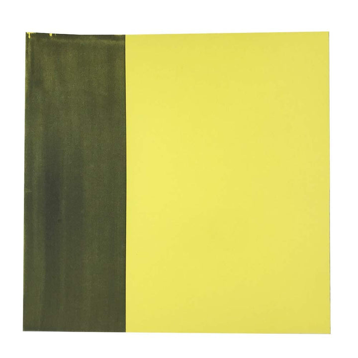 SunCreations Cyanotype Paper, High Sensitivity Sunprint Nature Printing Paper,8.2&#39;&#39; x 11.4&#39;&#39; A4 12-Sheets Sun/Solar Activated (Yellow Back)
