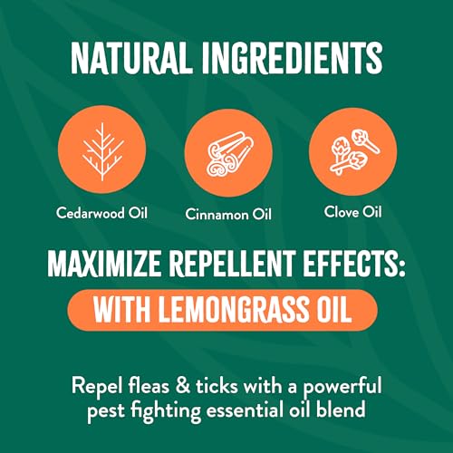 Max Strength Flea and Tick Treatment Spray for Home, Safe Prevention Around Kids, Powerful &amp; Natural Defense, Made in USA, 32oz