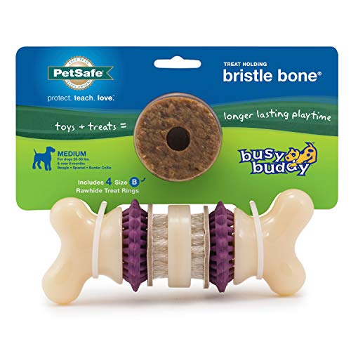 ® Busy Buddy® Bristle Bone®, Medium, Helps Keep Your Dog's Teeth Clean, Long-Lasting Playtime