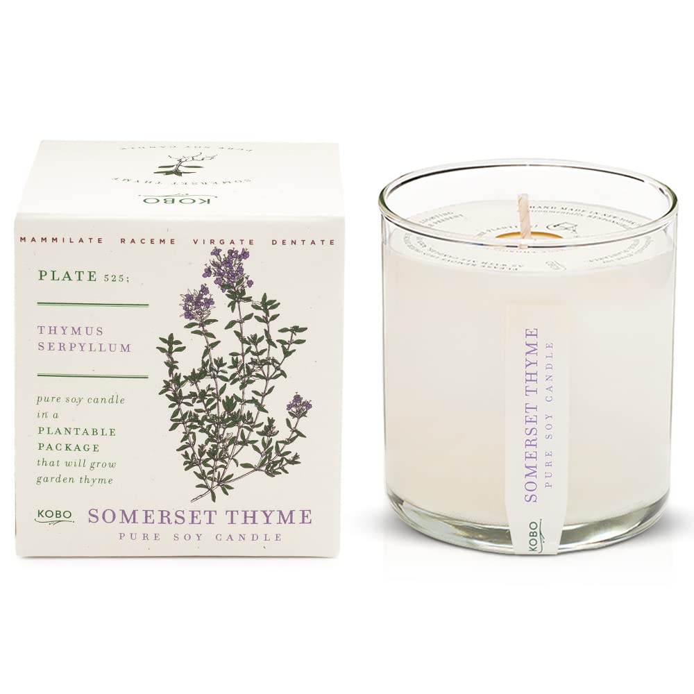 Somerset Thyme Candle with Plantable Box candle