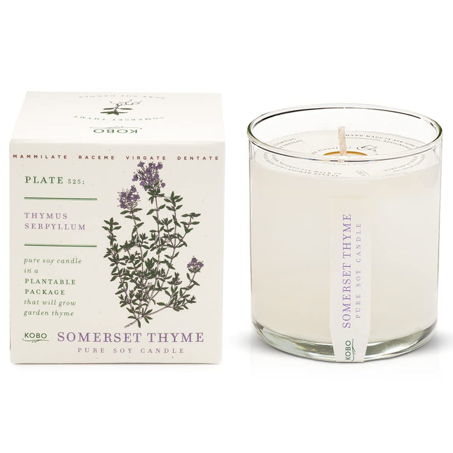 Somerset Thyme Candle with Plantable Box candle
