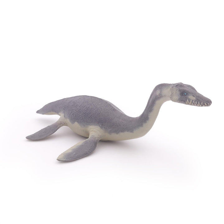 The Dinosaur Figure, Plesiosaurus, Multicolor
