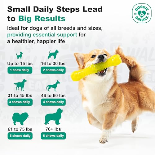 Glucosamine for Dogs - Joint Supplement for Dogs of All Breeds & Sizes - Hip and Joint Supplement for Dogs - Premium Glucosamine and Chondroitin for Dogs (Chicken) 225 Chews