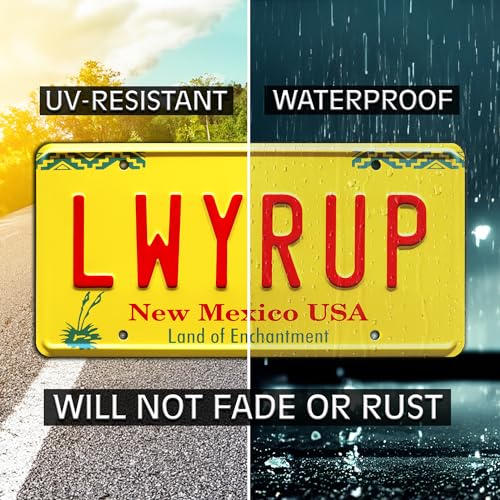 Breaking Bad | LWYRUP | Metal Stamped License Plate