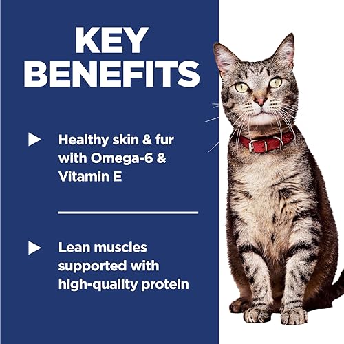 Hill&#39;s Science Diet Adult 1-6, Adult 1-6 Premium Nutrition, Dry Cat Food, Chicken Recipe, 7 lb Bag