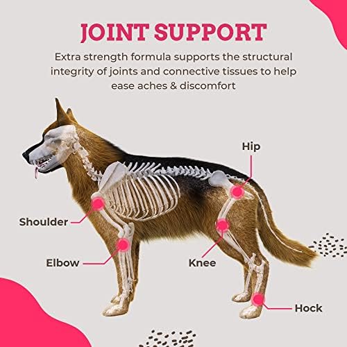 Glucosamine for Dogs, 240 Soft Chews of Advanced Hip and Joint Supplements for Dogs Vet Formulated with Chondroitin &amp; MSM for Mobility Support Keeping your Dog Young – Tasty Flavor