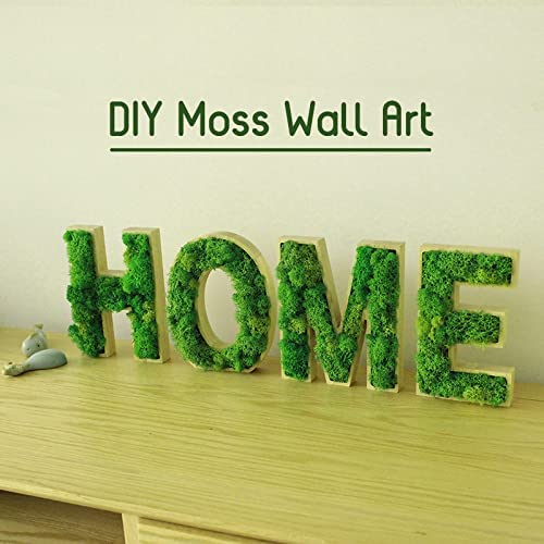 Prefleur Preserved Reindeer Craft Moss Natural Green DIY Kit Gardenning Art Wall Decor Florist Easter Table Decor Wedding Decor (0.85lb)(Green-02)