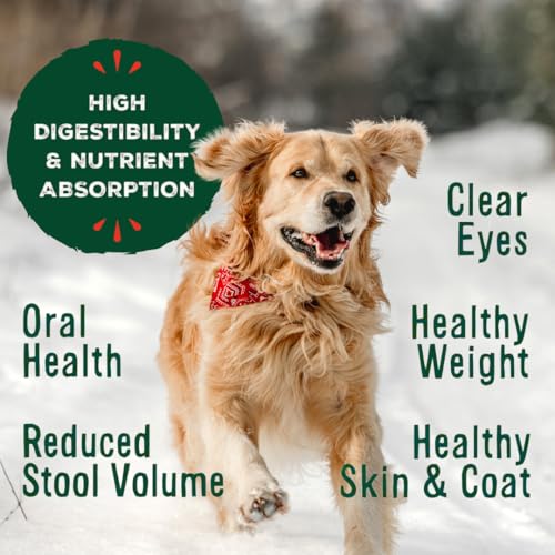 Primal Freeze Dried Raw Dog Food Nuggets, Lamb, Complete &amp; Balanced Meal, Also Use as Topper or Treat, Premium, Healthy, Grain Free, High Protein Raw Dog Food, 14 oz