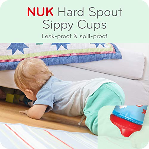 NUK First Essentials Hard Spout Sippy Cup