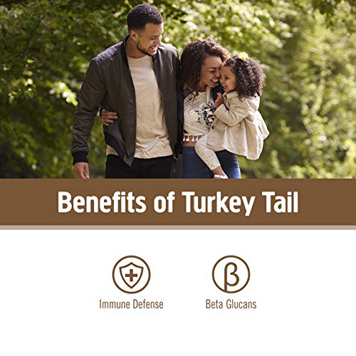 Turkey Tail Organic Mushroom Powder, 3.5 Ounce, 50 Servings, Immune Support, Polysacchrides, Beta-Glucans, Gut Health &amp; Holistic Defense Mushroom Supplement