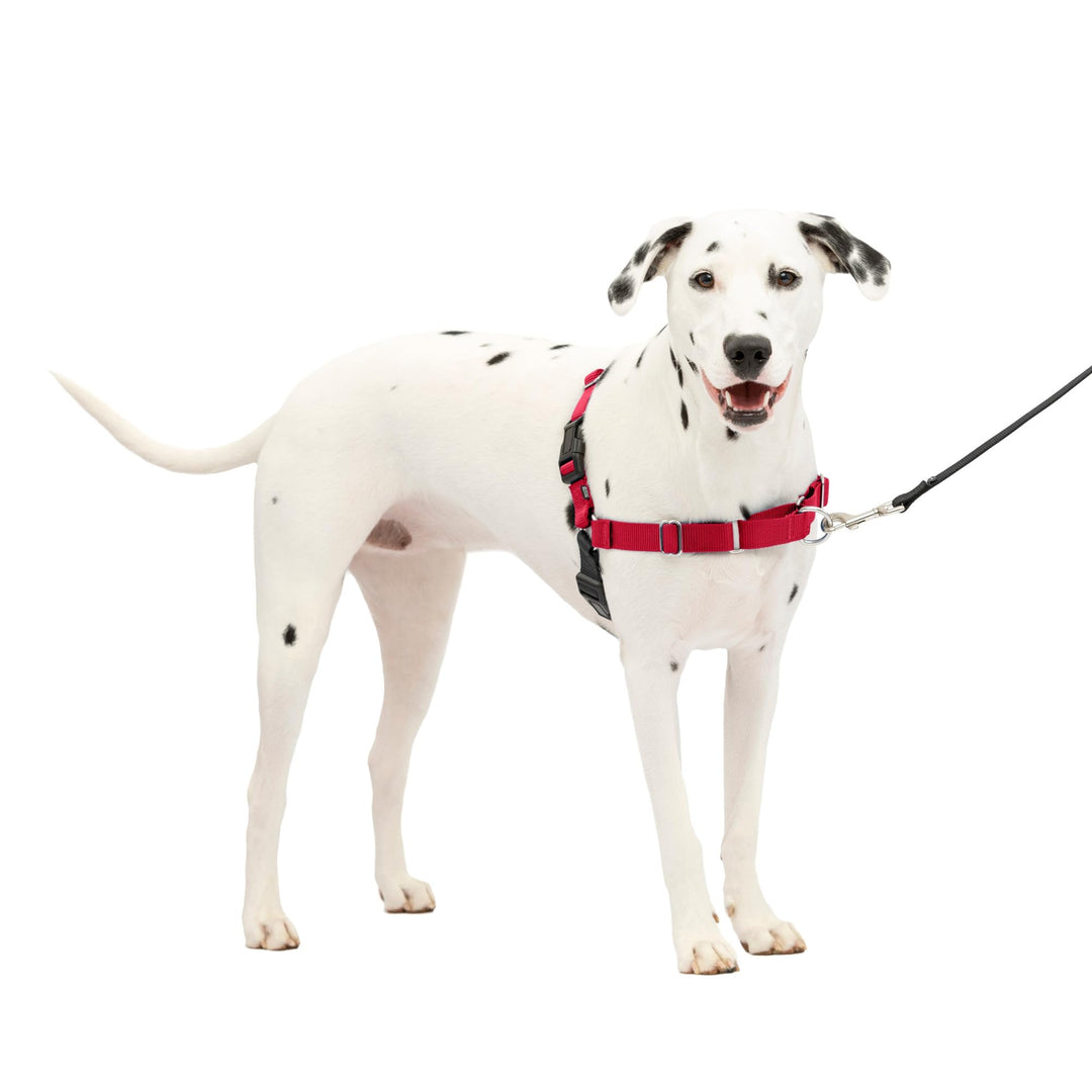 Easy Walk No-Pull Dog Harness - The Ultimate Harness to Help Stop Pulling - Take Control &amp; Teach Better Leash Manners - Helps Prevent Pets Pulling on Walks, Medium/Large, Red/Black