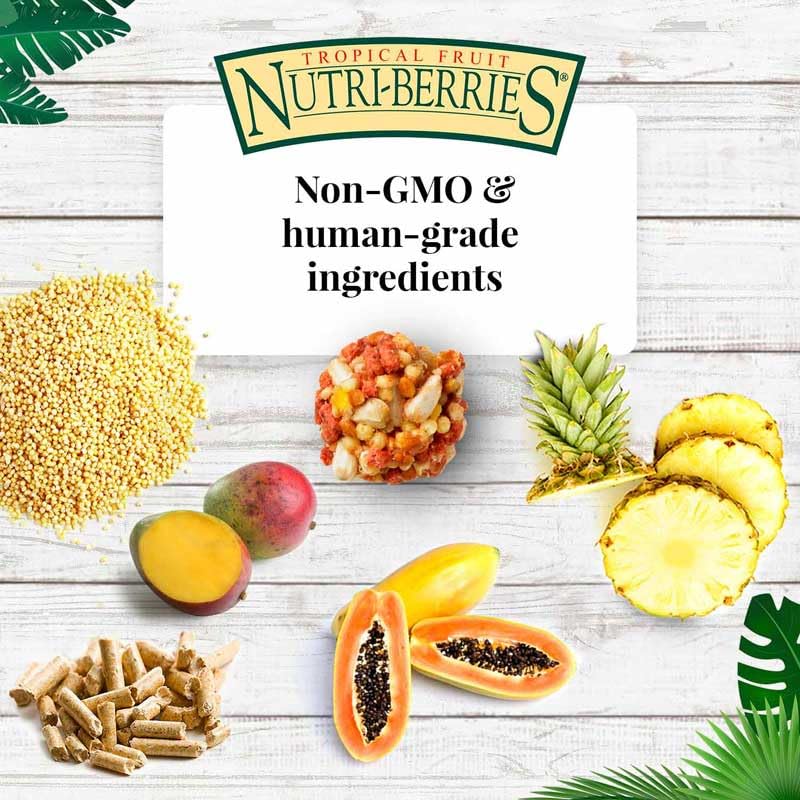 Tropical Fruit Nutri-Berries Pet Bird Food, Made with Non-GMO and Human-Grade Ingredients, for Macaws and Cockatoos, 3 lb
