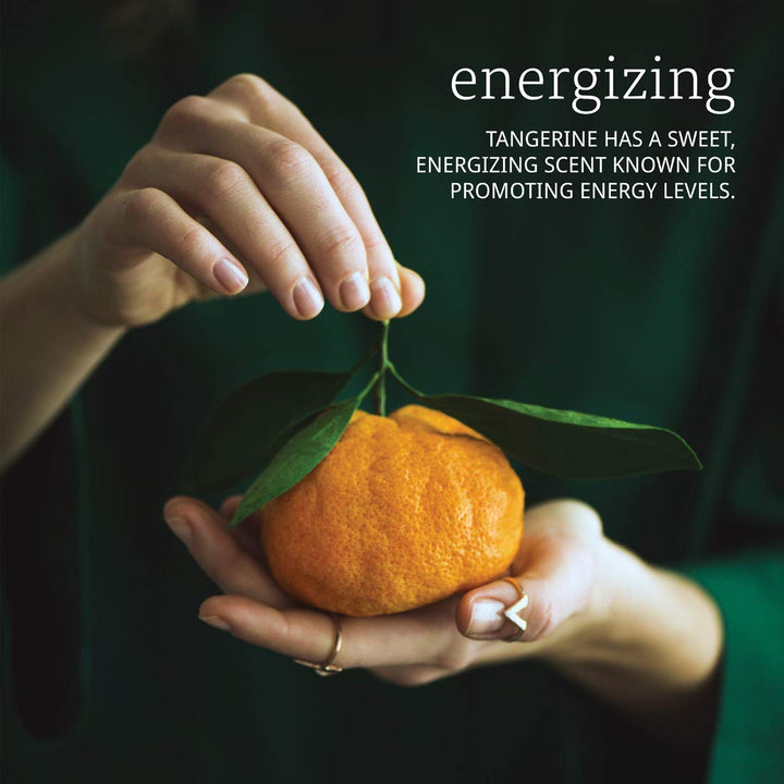 NOW Tangerine Oil, 1-Ounce (Pack Of 2)