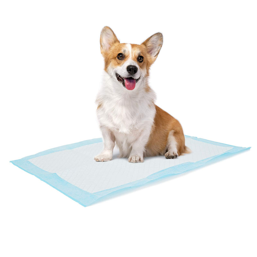 Dog and Puppy Training Pads, 13”×18” Disposable Dog Pee Pads, 100/Counts Ultra Absorbent & Leak-Proof Pet Underpads, Dry Quickly Pee Pad for Dog Cats Rabbits or Other House Training Pet