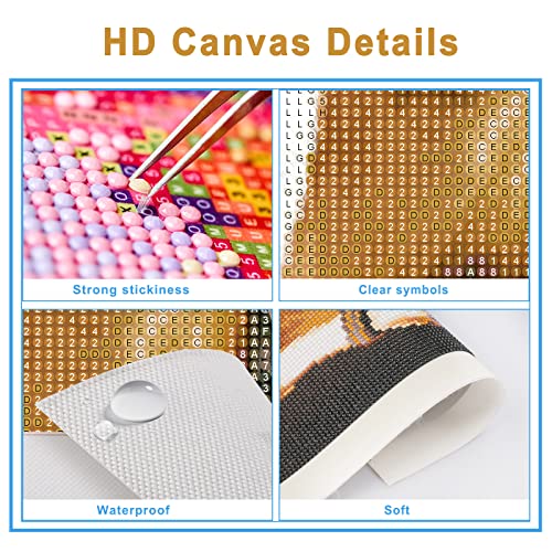 NAIMOER Horse Diamond Art Kits for Adults, Full Drill D
