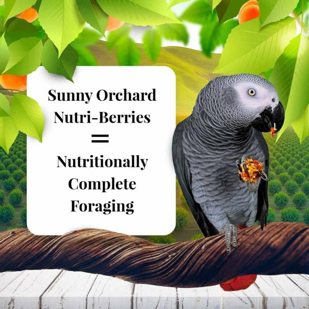 LAFEBER&#39;S Sunny Orchard Nutri-Berries Pet Bird Food, Made with Non-GMO and Human-Grade Ingredients, for Parrots, 3 lb