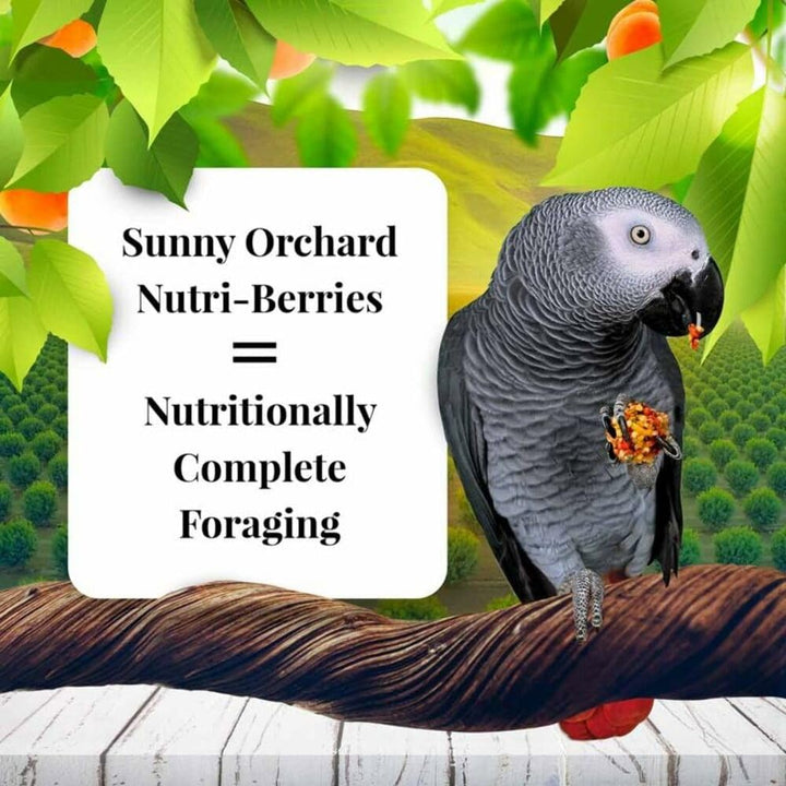 LAFEBER&#39;S Sunny Orchard Nutri-Berries Pet Bird Food, Made with Non-GMO and Human-Grade Ingredients, for Parrots, 3 lb