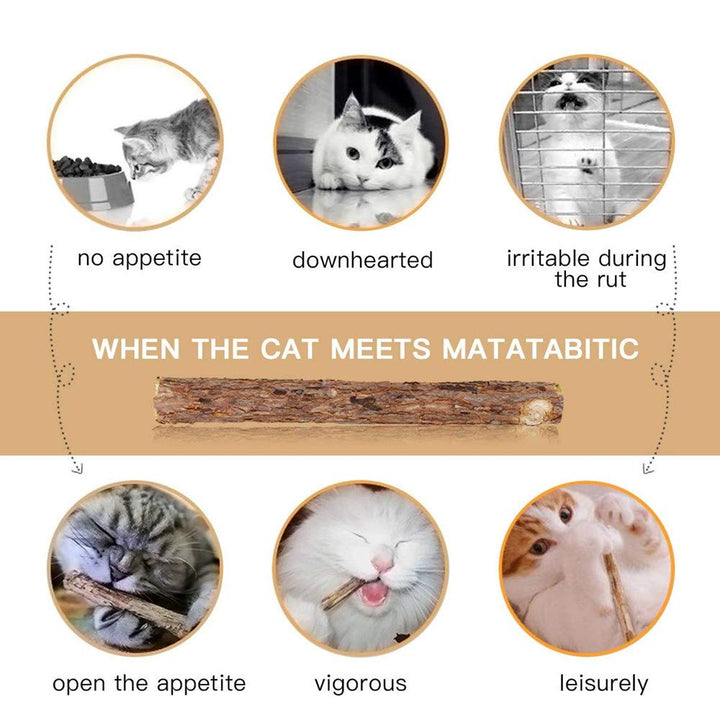 Silvervine Sticks for Cats, Natural Catnip Matatabi Chew Sticks Teeth Molar Chew Toys for Cat Kitten Kitty (at Least 12 PCS)