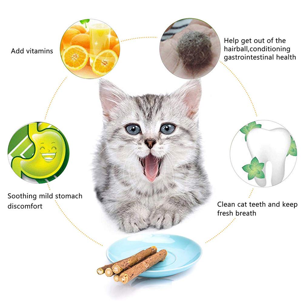 Silvervine Sticks for Cats, Natural Catnip Matatabi Chew Sticks Teeth Molar Chew Toys for Cat Kitten Kitty (at Least 12 PCS)