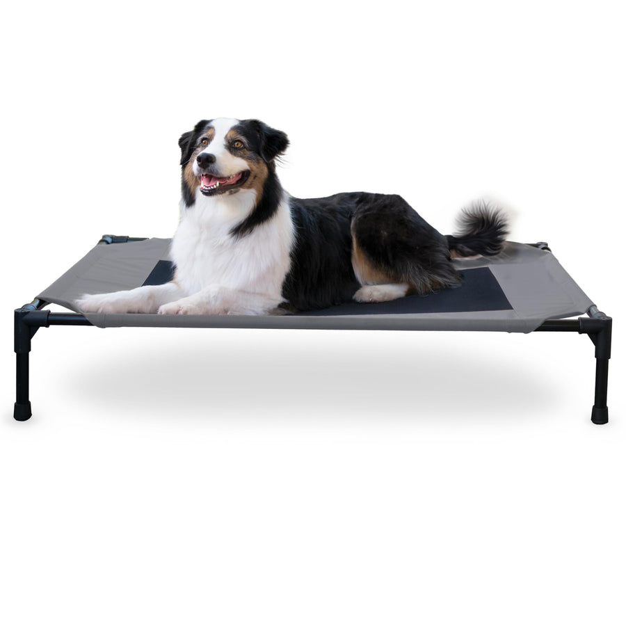 Outdoor Elevated Dog Cot, Breathable Cooling Elevated Cot Hammock Pet Bed for Large Dogs, Washable Mesh Cover, Raised Metal Frame, Collapsible, Portable - Large 42 X 30in Gray