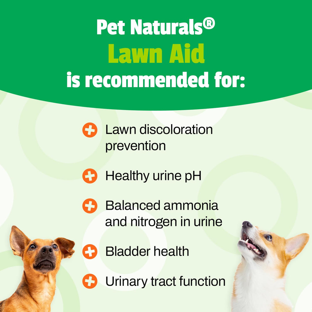 Lawn Aid Dog Urine Neutralizer for Lawn - 60 Chicken-Flavored Chews - Healthy Dog Treats for PH Balance in Urine Maintain Green Grass and Support Bladder &amp; Urinary Tract Healthâ€‹