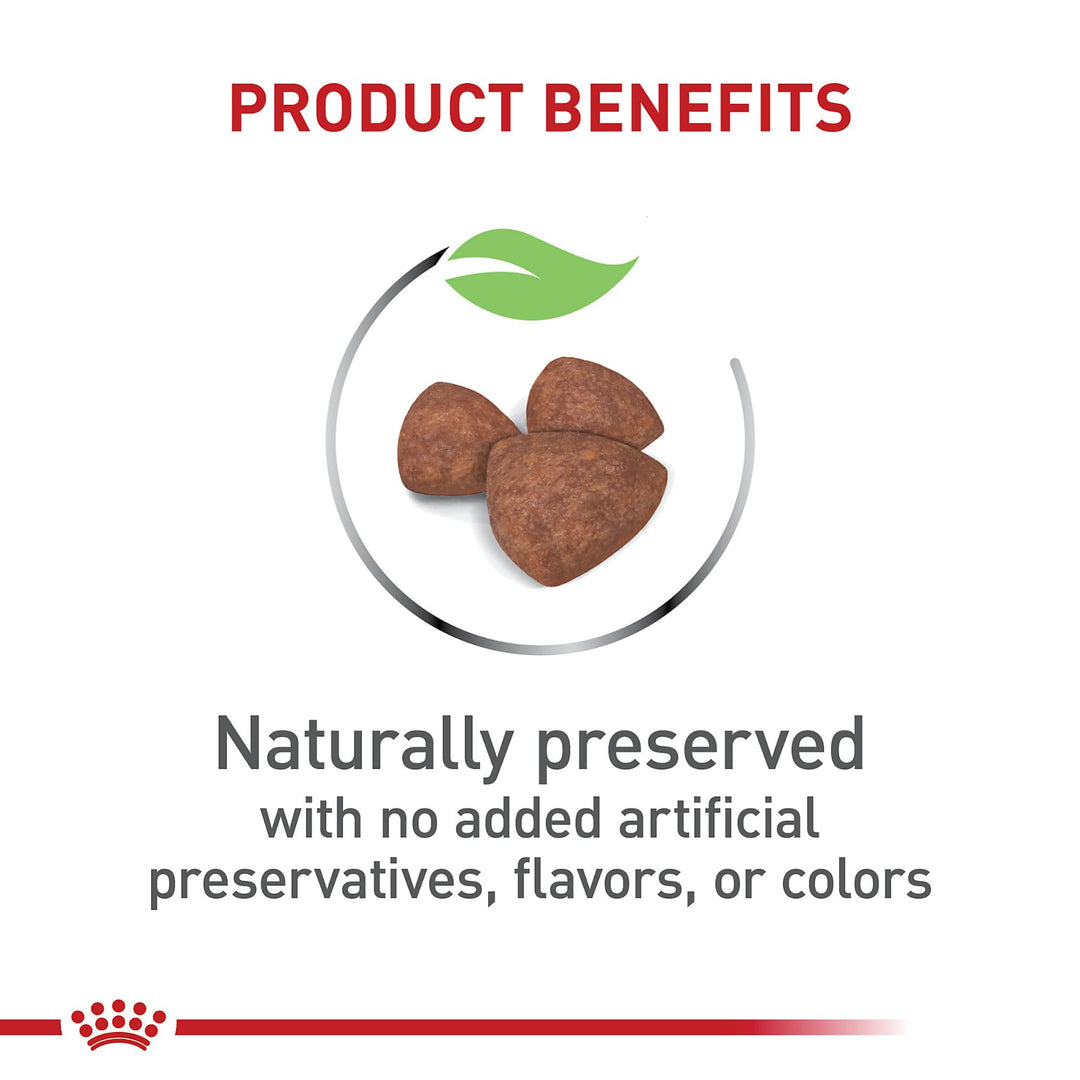 Size Health Nutrition Small Indoor Puppy Dry Dog Food, 2.5 lb bag