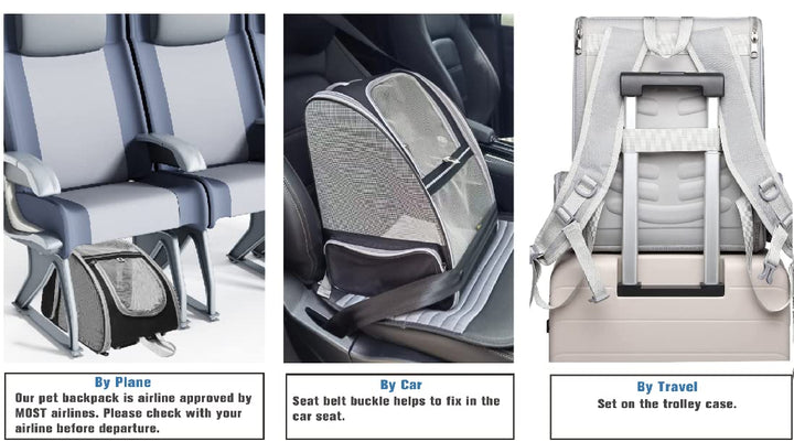 Innovative Traveler Bubble Backpack Pet Carriers for Cats and Dogs (Black)