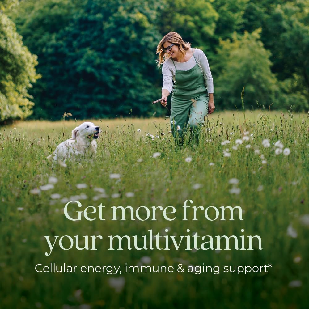 Women's Multivitamin 40 Plus for Energy, Healthy Aging + Immune Support with 20+ Nutrients -- Every Woman's One Daily 40+, Gentle on the Stomach, 96 Count