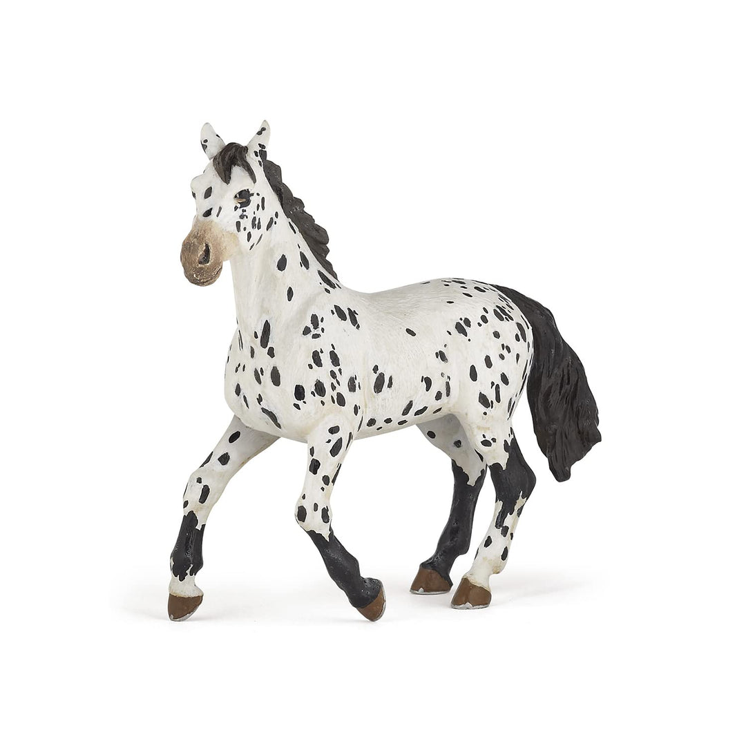 - Hand-Painted - Figurine - Horses,Foals and Ponies - Black Appaloosa Horse Figure-51539 - Collectible - for Children - Suitable for Boys and Girls - from 3 Years Old