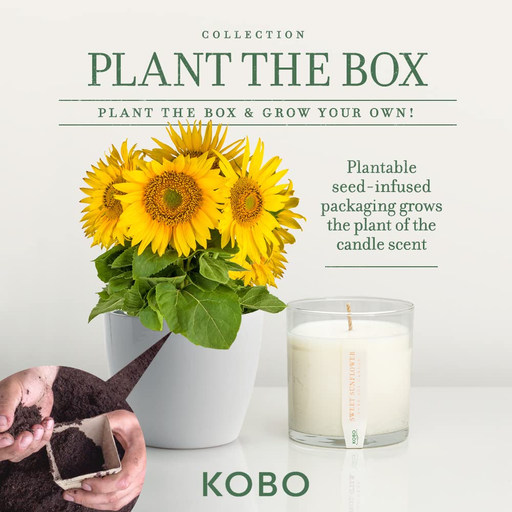 Sweet Sunflower Soy Candle with Plantable Box