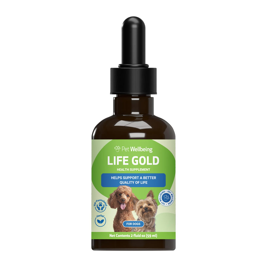 Life Gold for Dogs - Vet-Formulated - Immune Support and Antioxidant Protection - Natural Herbal Supplement 2 oz (59 ml)