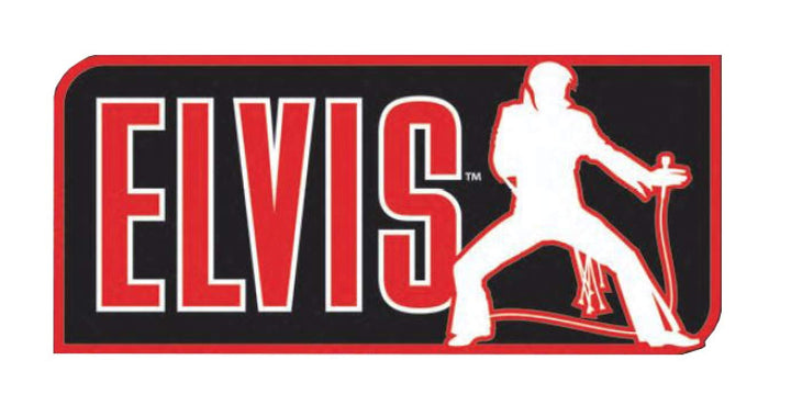 Costume Co Men&#39;s Elvis Wig Black